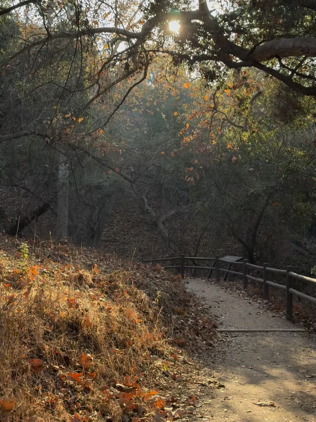 Weekend Hiking Notes in Diamond Bar, Los Angeles