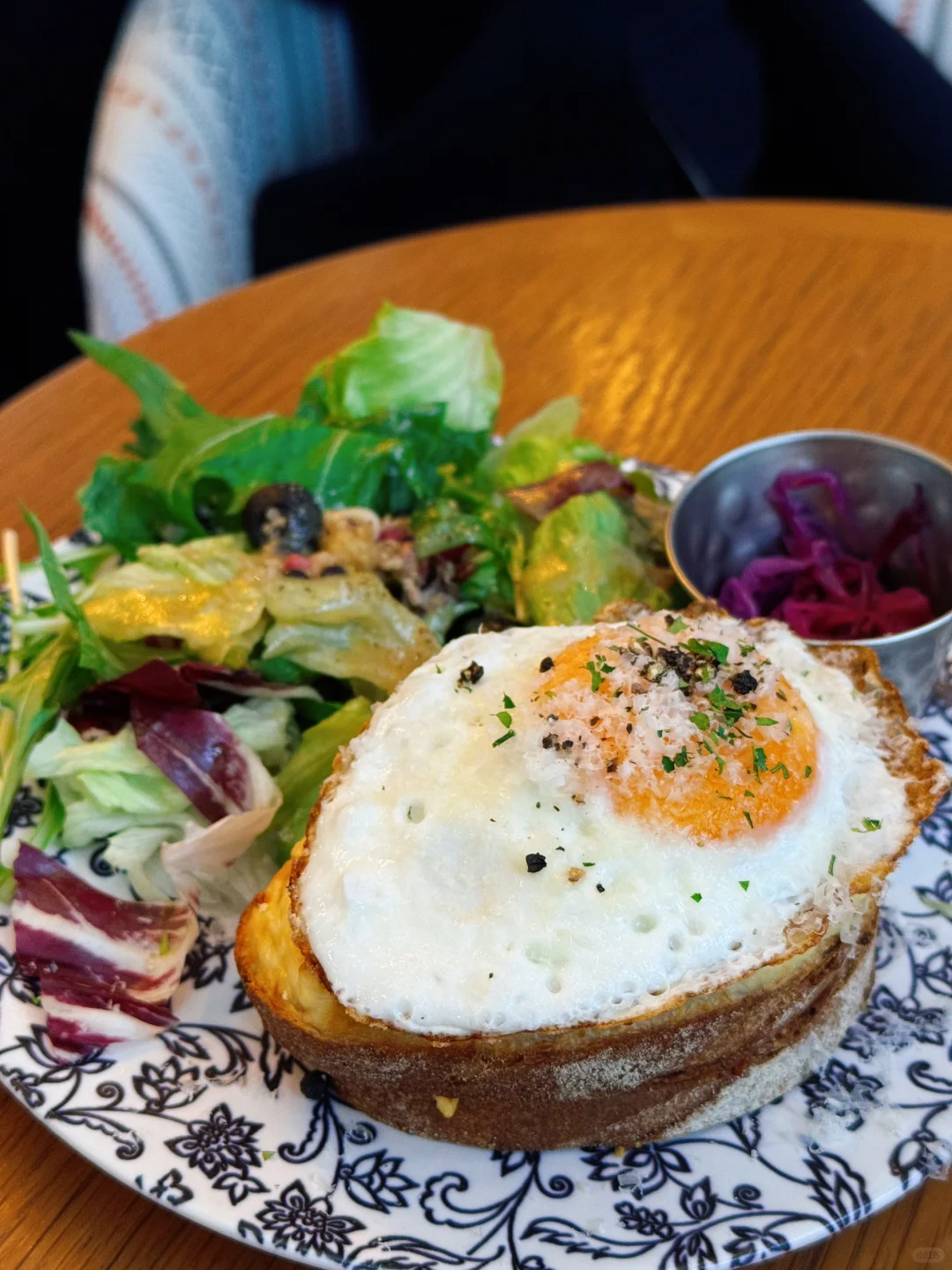 Japan Foodie Adventures Vol. 1