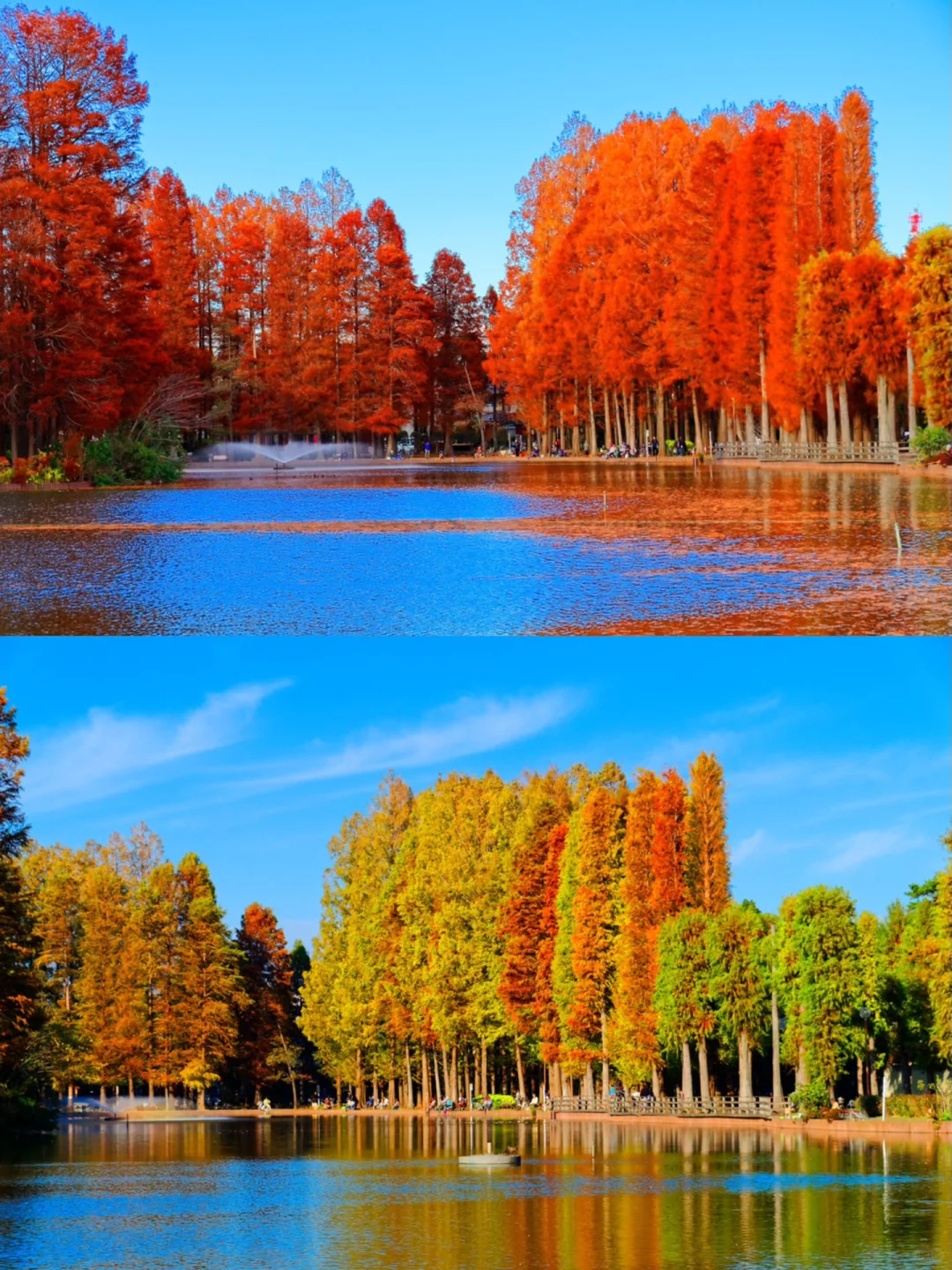 🍁 This Nordic-style park in Tokyo is absolutely stunning!