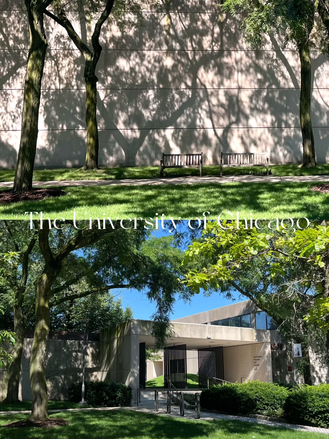 UChicago | Anecdotes, History, and Guide to Iconic Architecture ⛪️