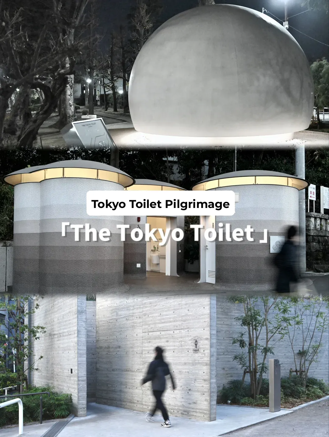 In Tokyo, I Only Do One Thing: Hit the Loo 🚽