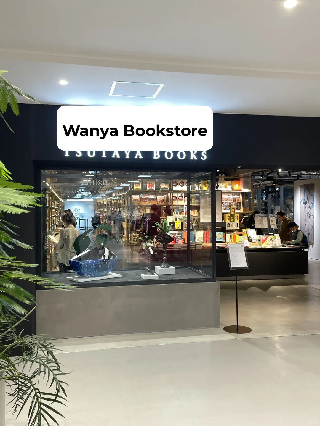 How to Spend a Half Day in Kyoto! 🛍️ Must-See Shopping Spots!