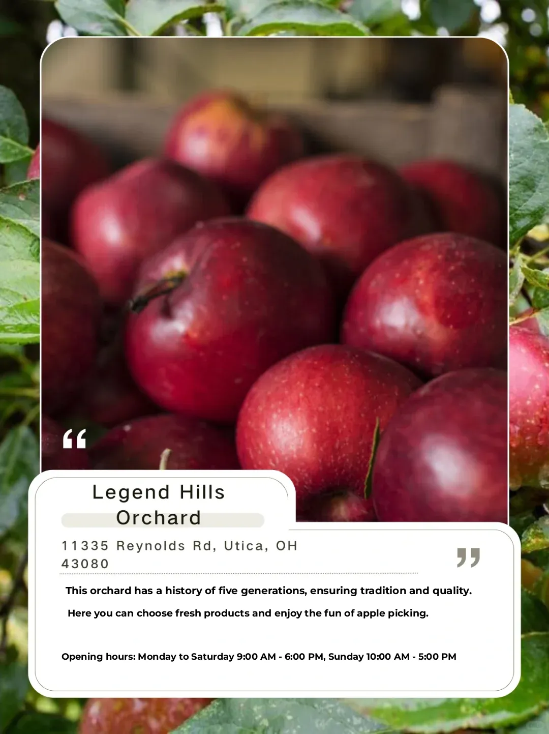 OSU｜First Stop of Autumn—Apple Picking🍎