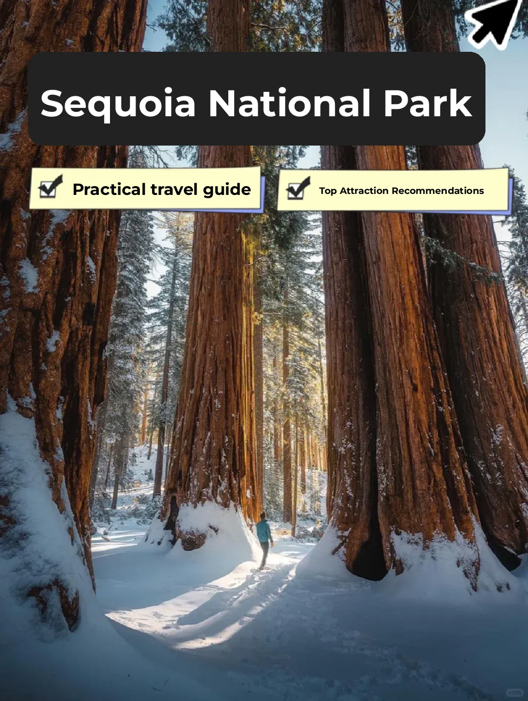 California's Sequoia National Park! The Ultimate Guide to Must-See Attractions and Top Recommendations