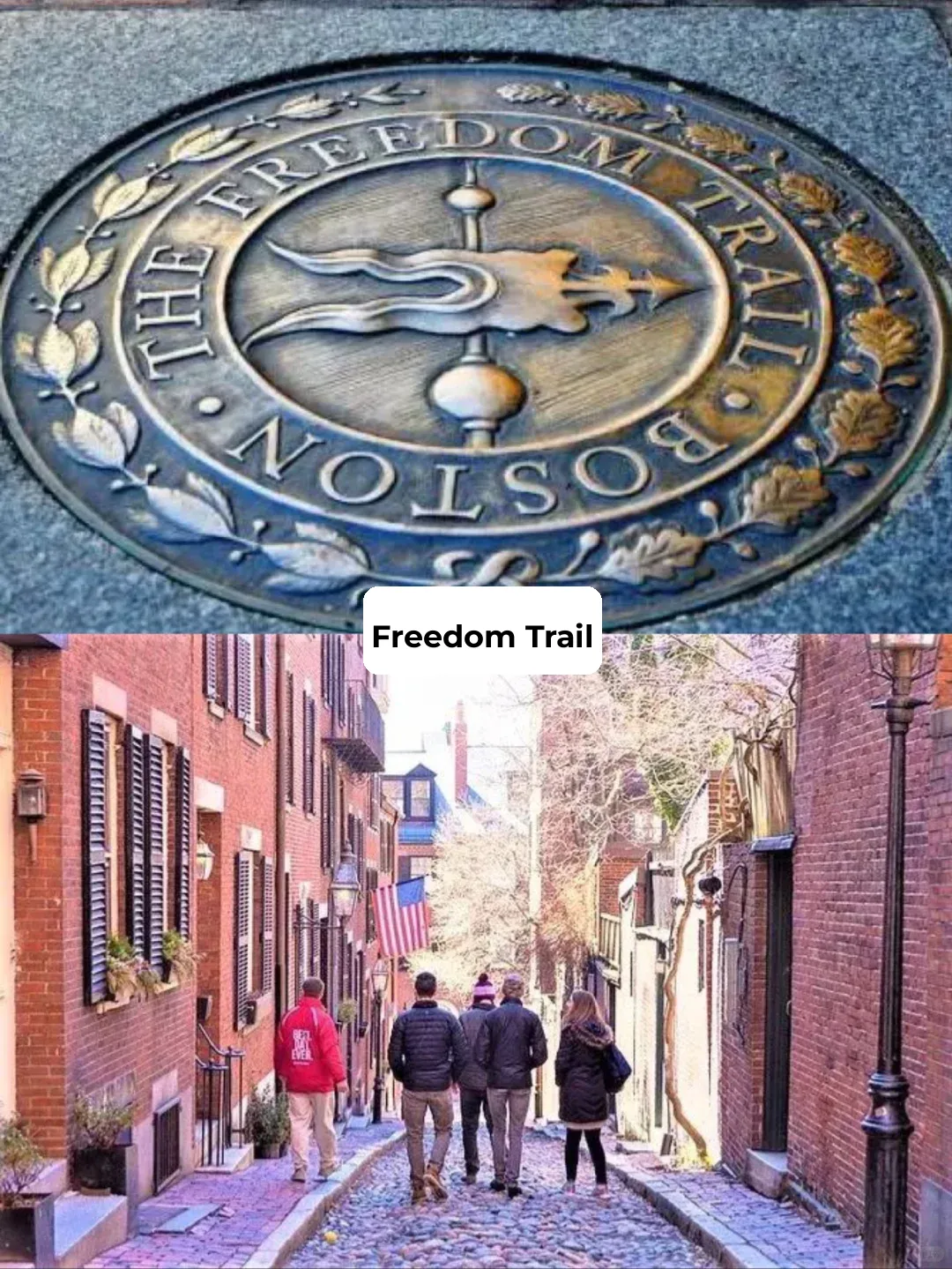 Spring Has Arrived in Boston: 7 Must-Do Activities This Season