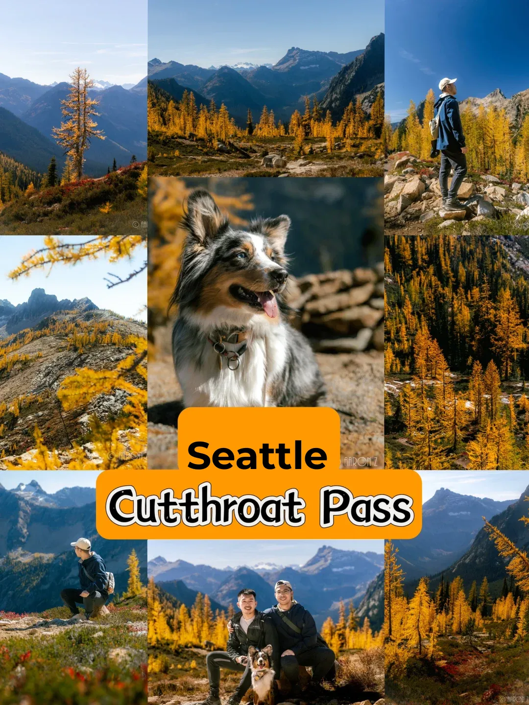 Cutthroat Pass: A Must-Do Hike Near Seattle