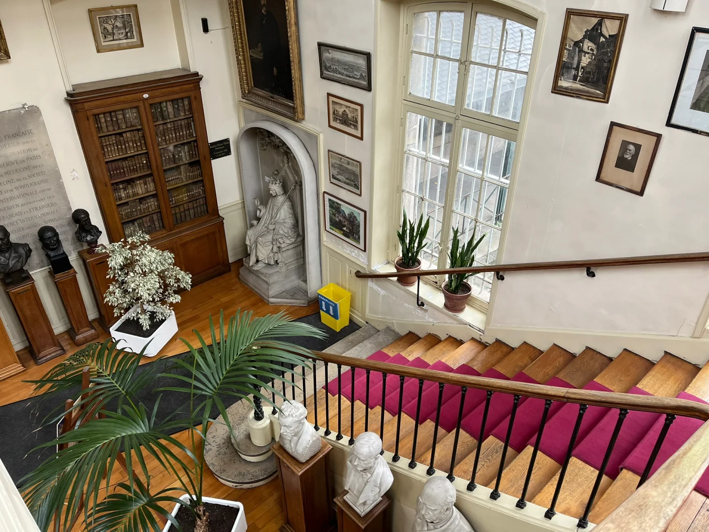 🇫🇷 Paris's Hidden Gems: The Quirky & Gross Museum 🤫