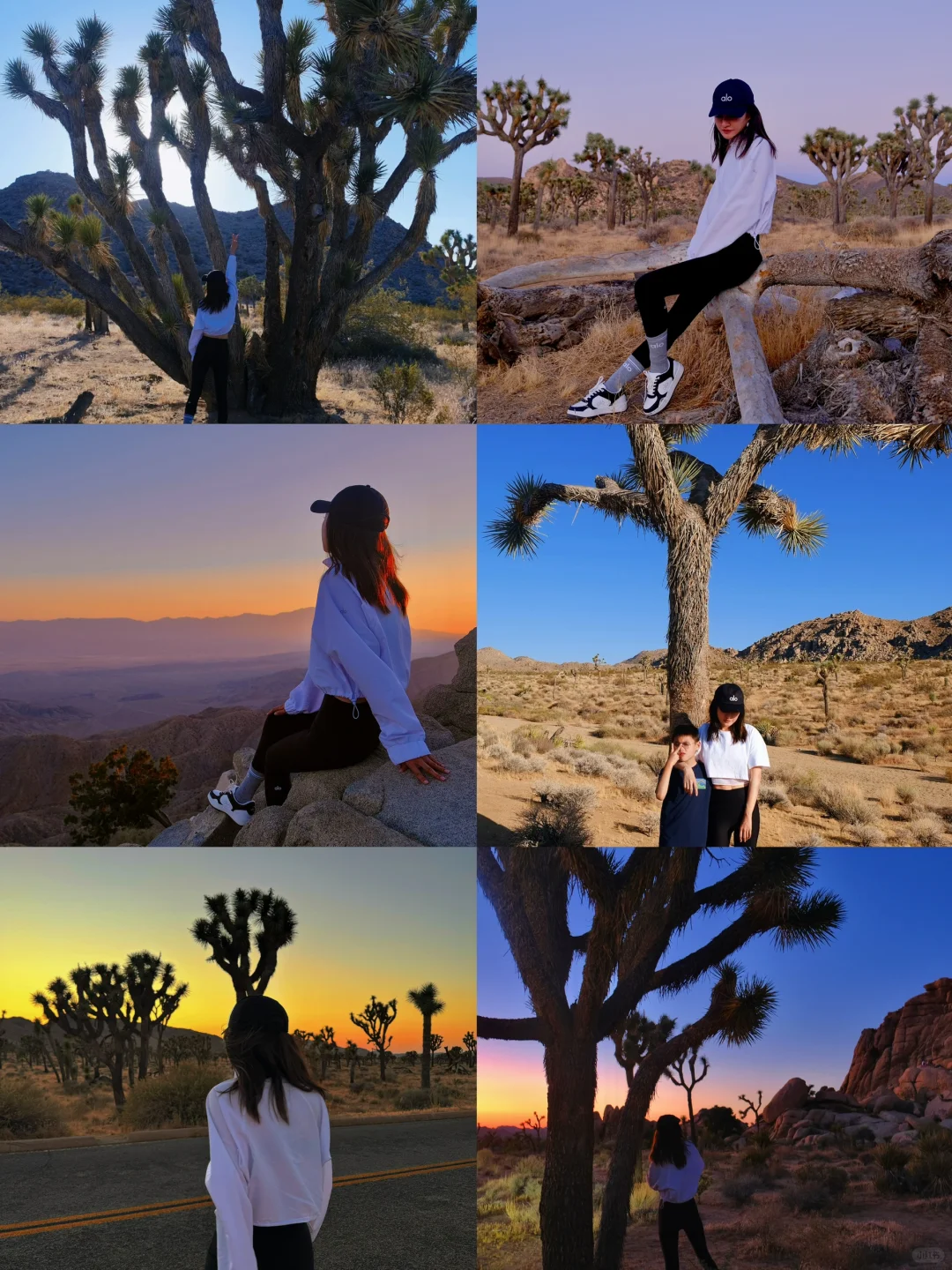Breathtaking Sunset Sprawl at Joshua Tree