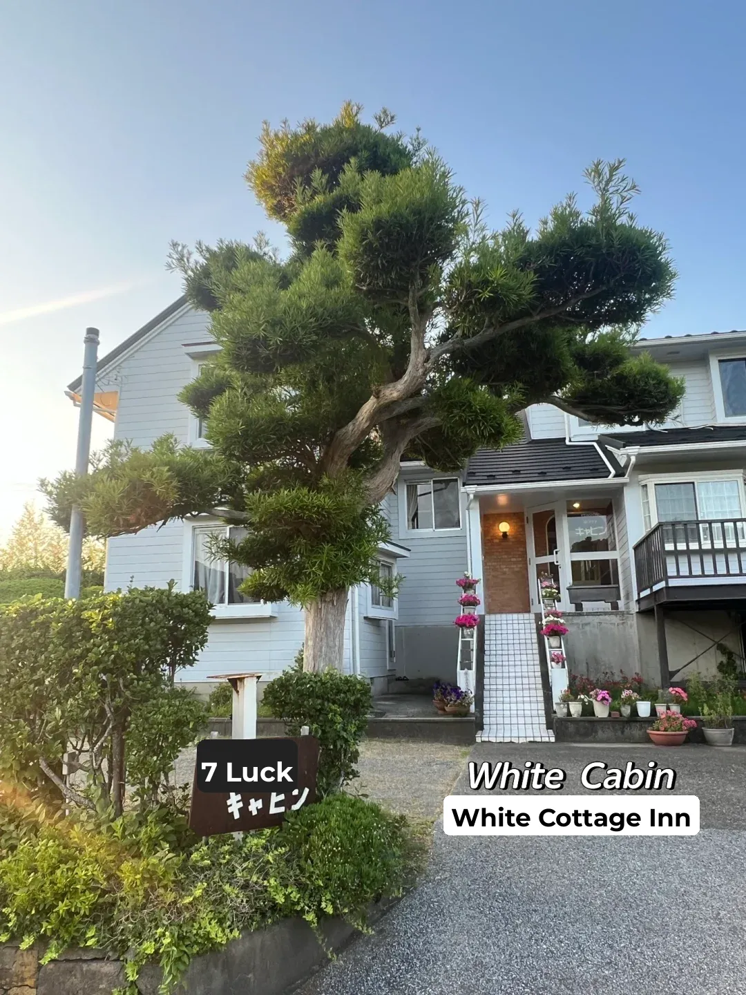 🇯🇵 Diving in Chiba • Tateyama 🤿 Shark Castle 🏰 Underwater Shrine ⛩