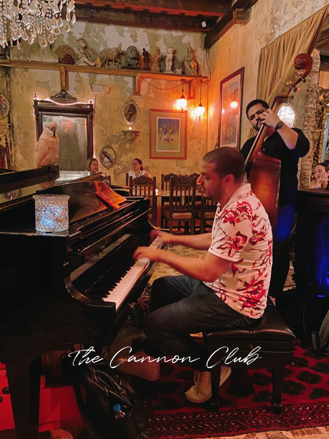 Puerto Rico Travel | 🎹 Secret Hidden Gem: An Amazing Niche Piano Bar 🍸🤫