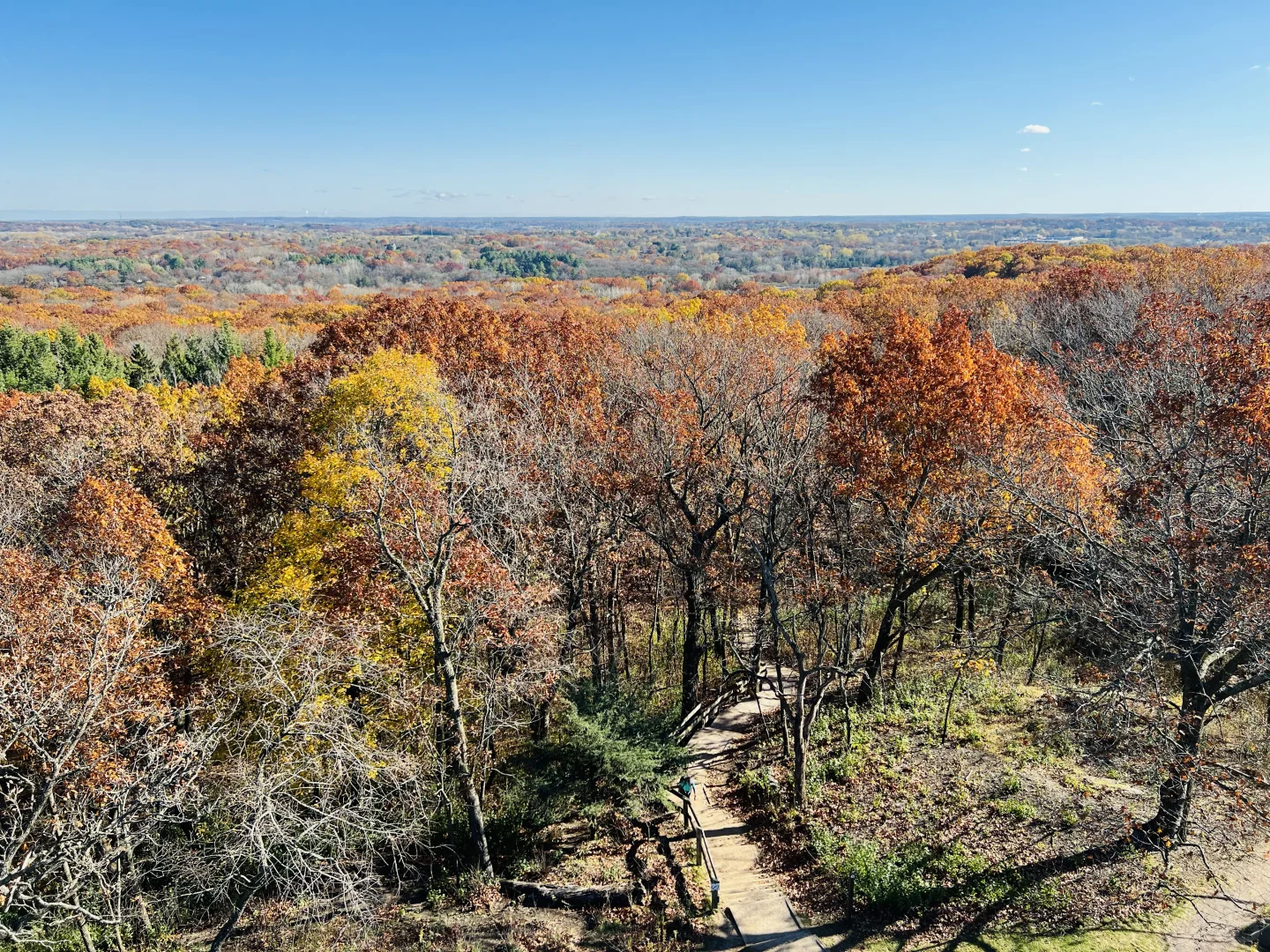 "Milwaukee Surroundings: Catching the Last Glimpse of Autumn"