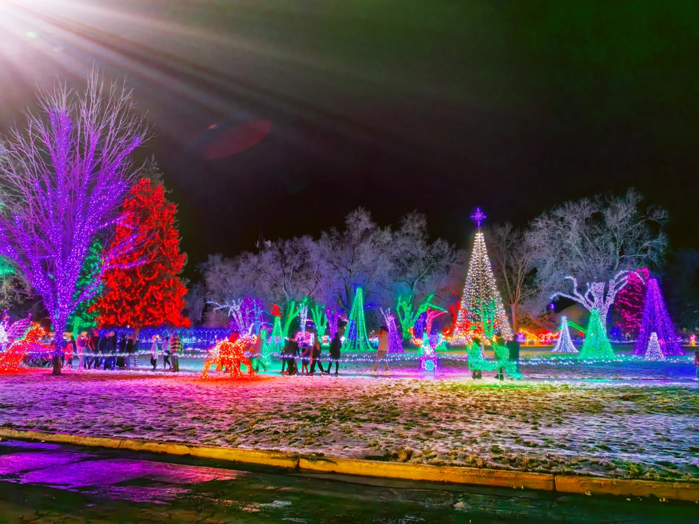 Free Christmas 🎄 Lights Around Salt Lake City