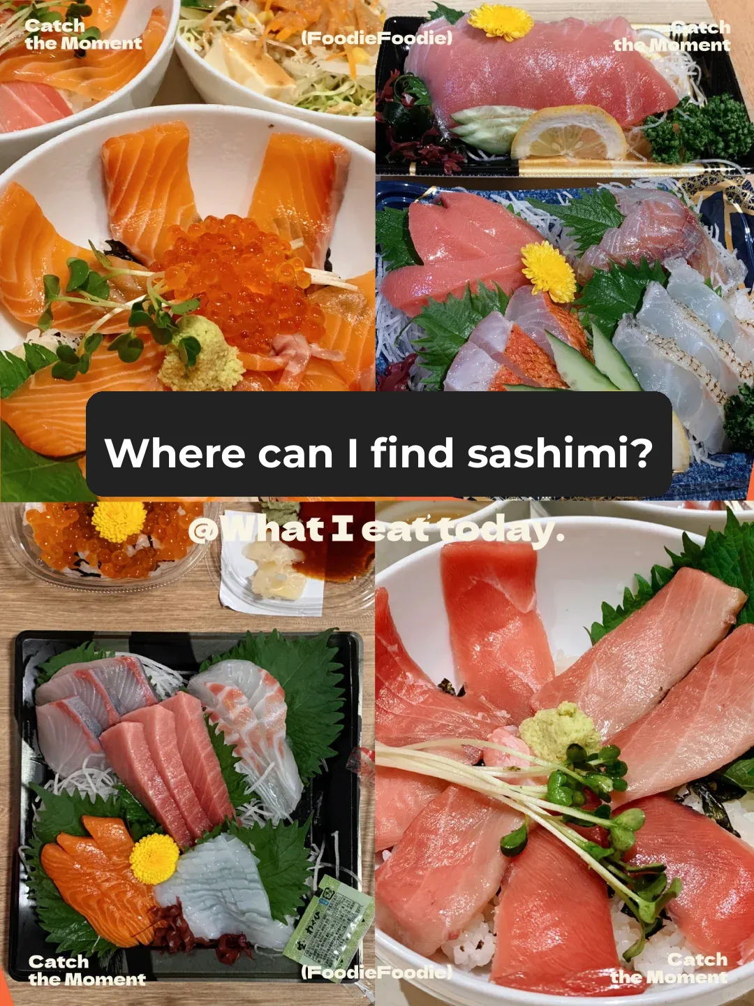 9 Days, 8 Nights in Kyoto & Kobe - Sashimi, Sushi, and Seafood Bowl Edition