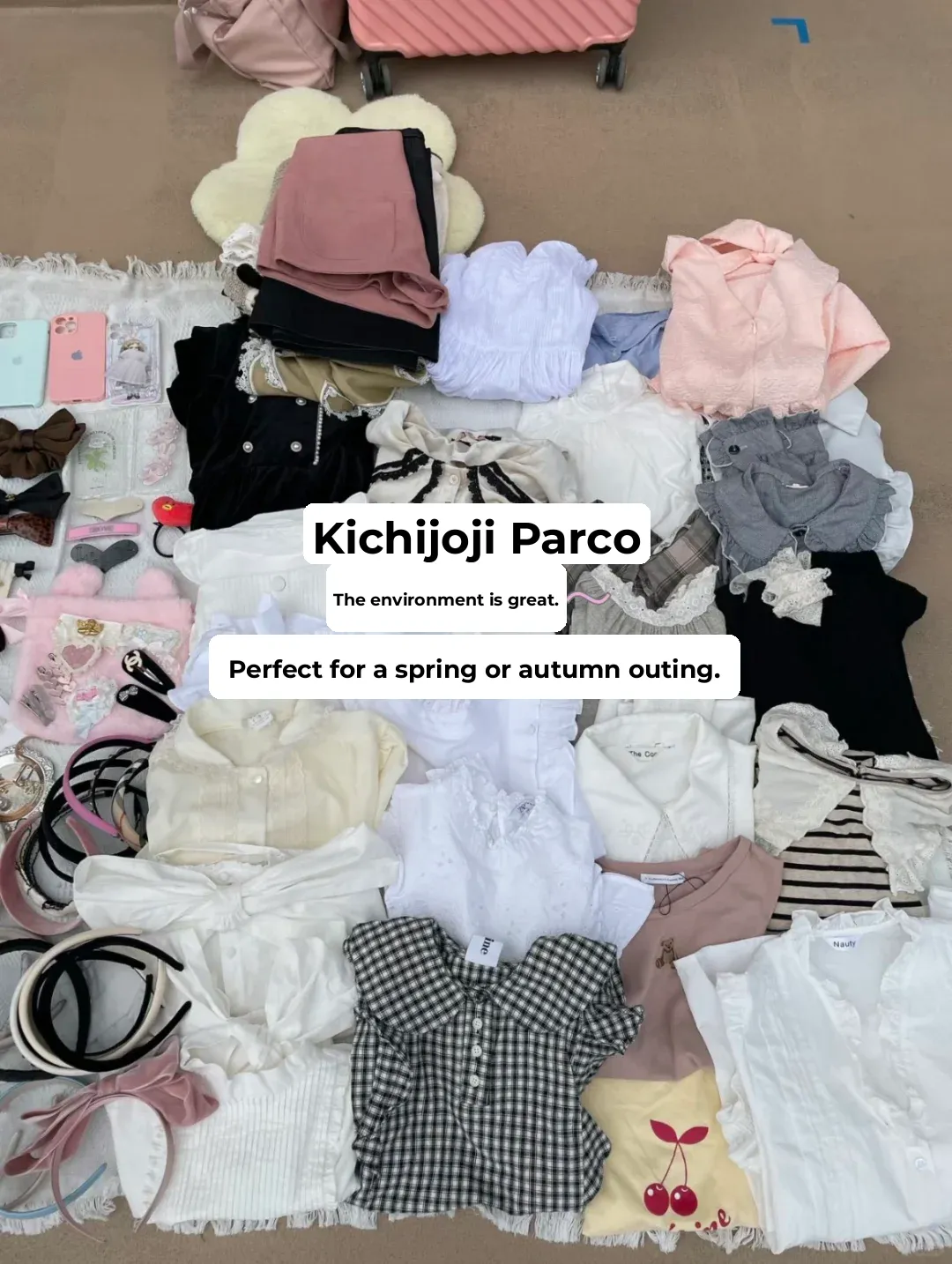 Tokyo Street Market Survival Guide 🧺