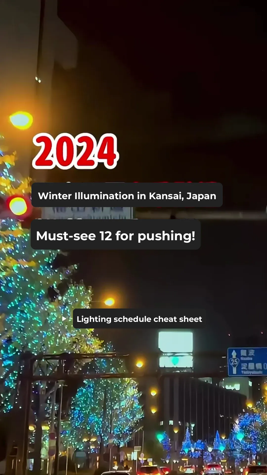 2024 Japan Kansai Winter Illuminations Cheat Sheet!!
