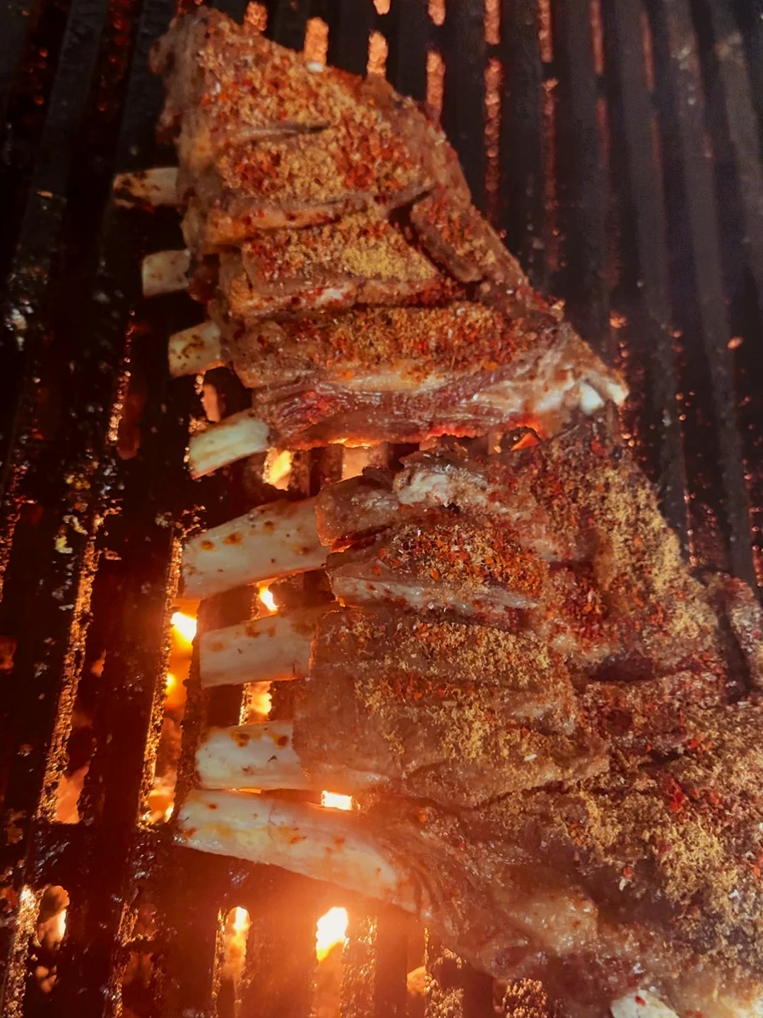 Boston | Giant Charcoal-Grilled Lamb Chops—Newly Arrived Refugee's Delight