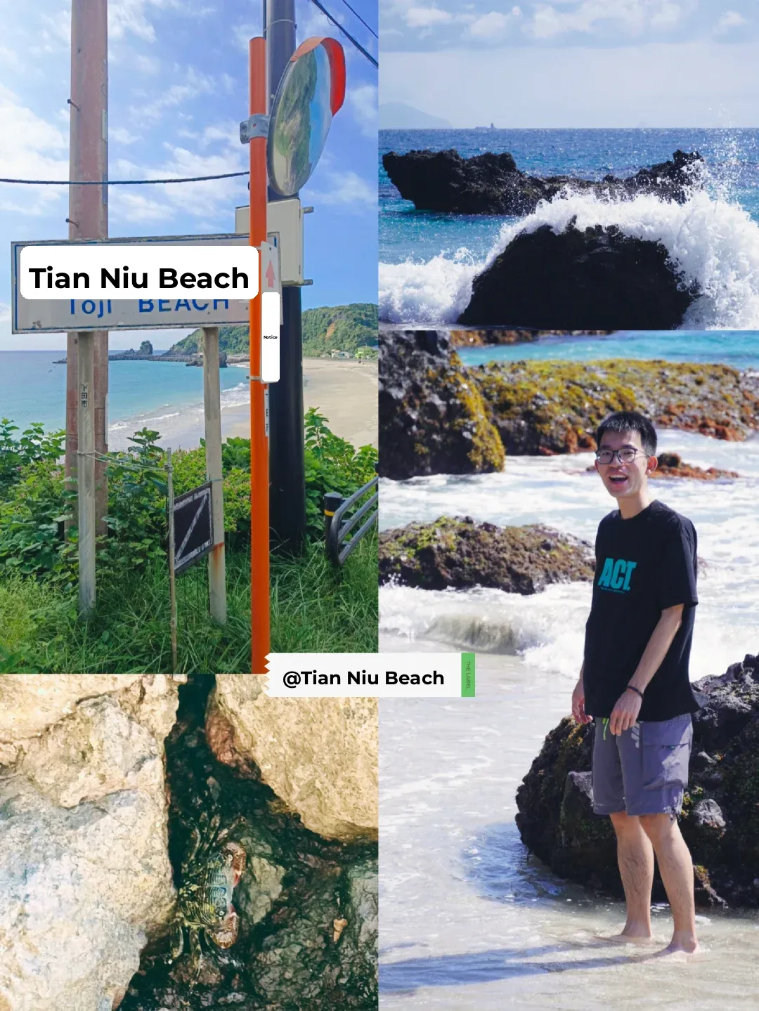 "Tokyo → East/South Izu" Ultimate 2-Day Free & Easy Itinerary