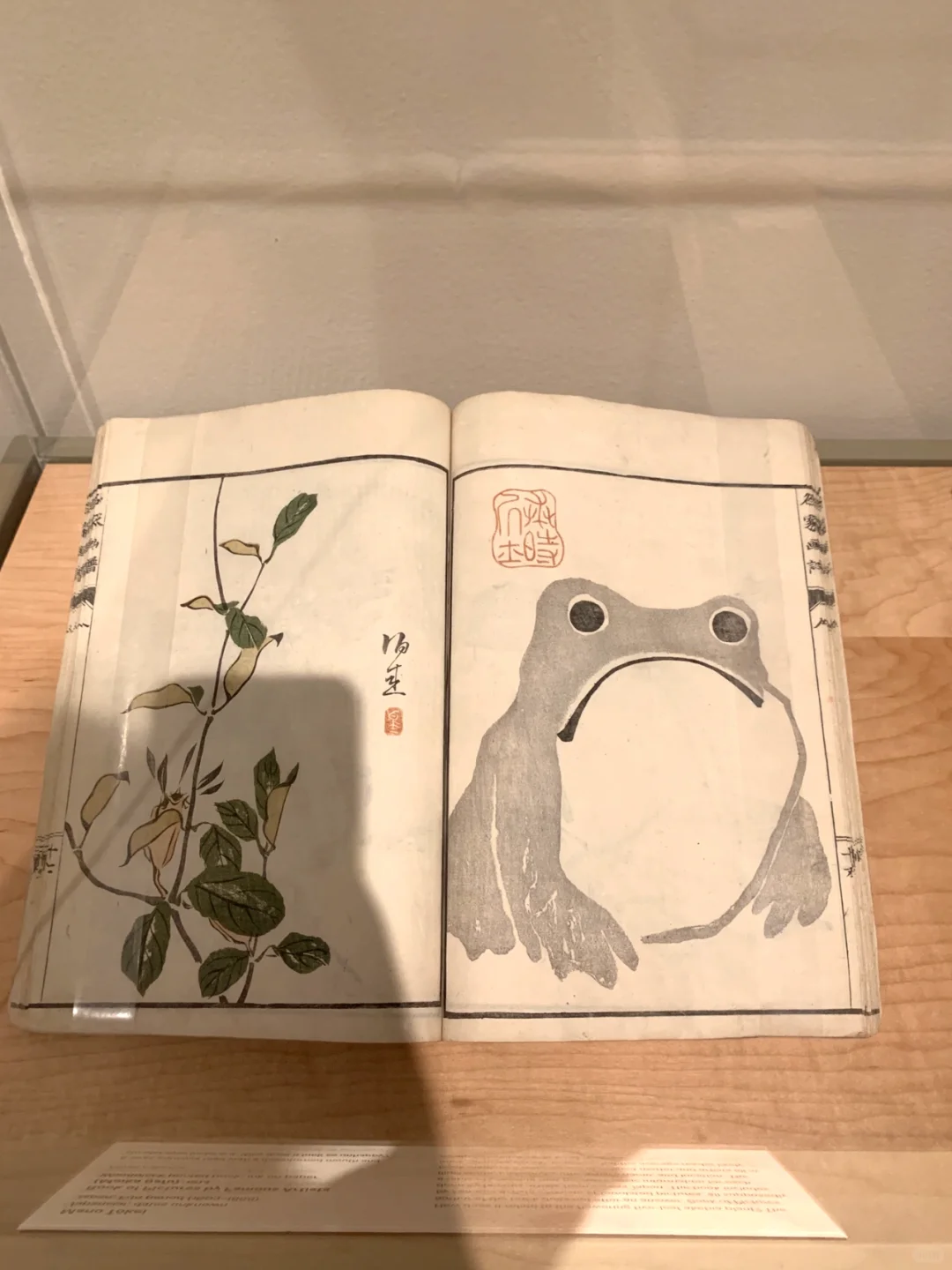 photo-3