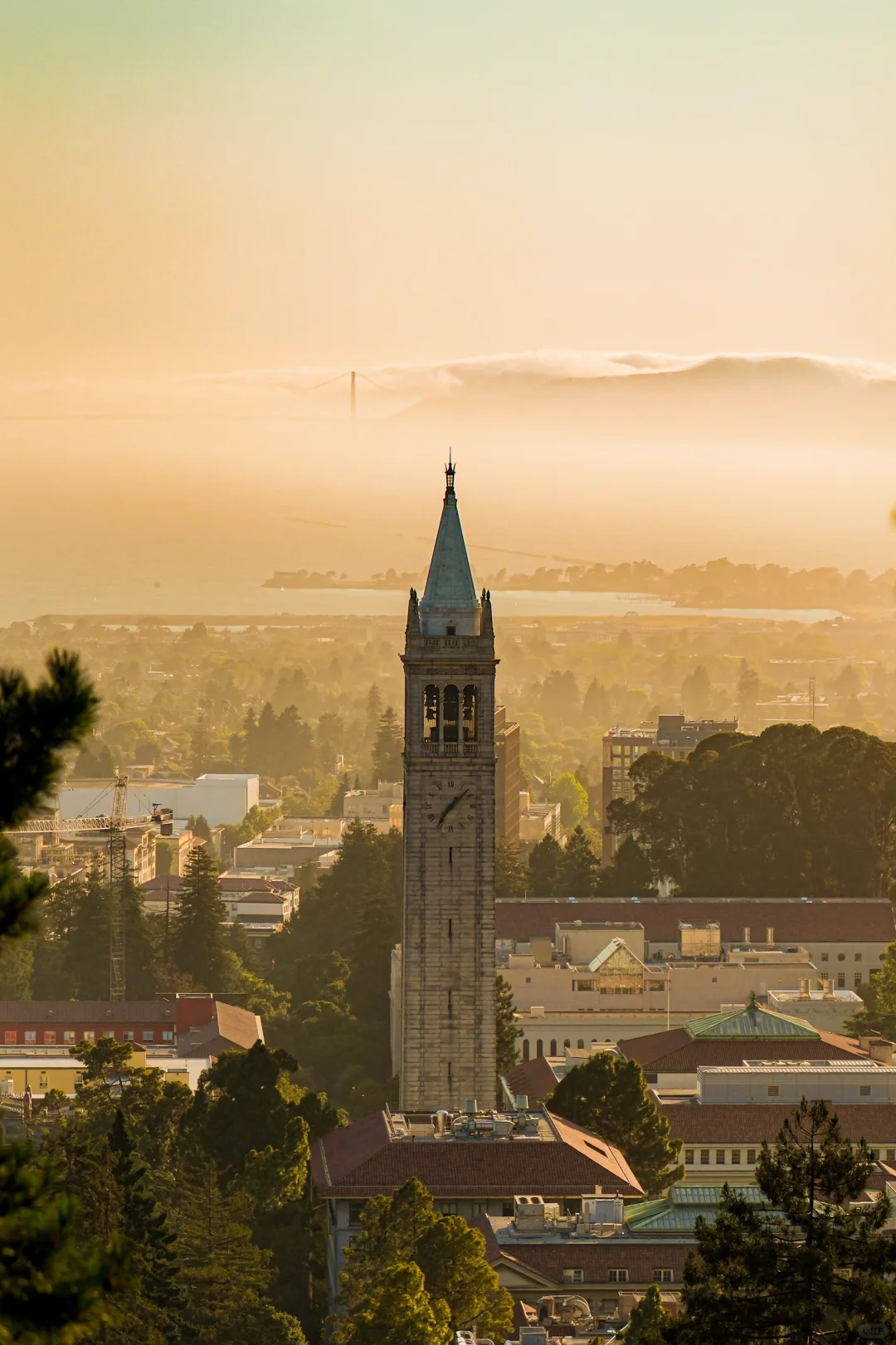 Stunning Shots of Berkeley's Big C