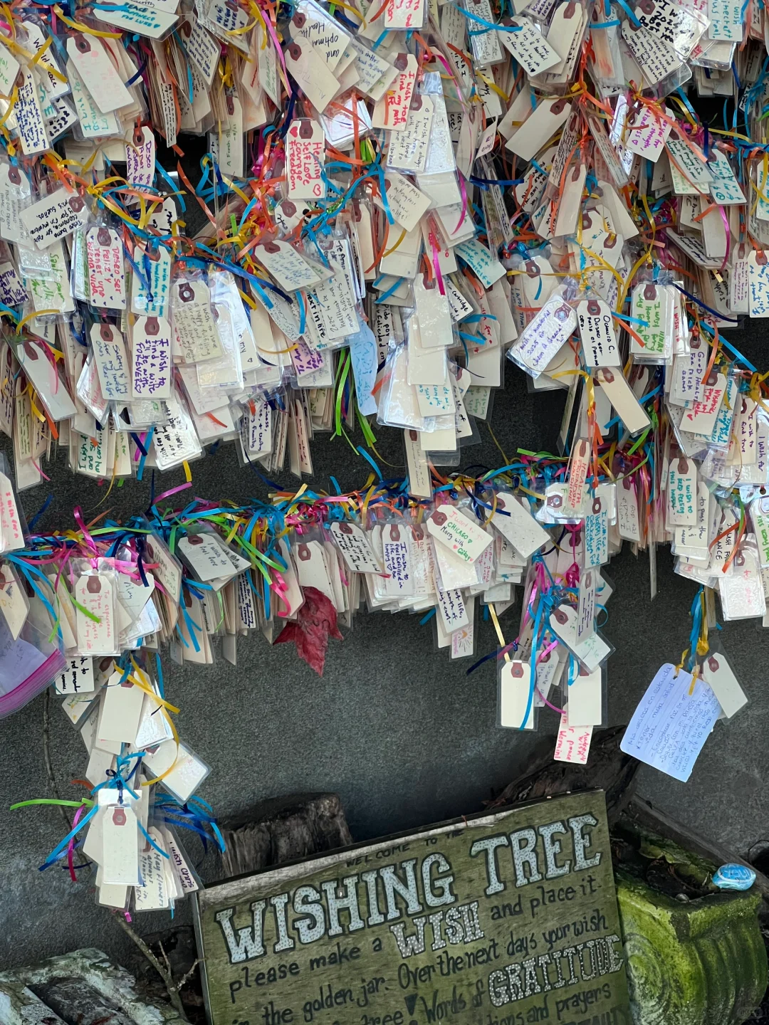 Seattle Wishing Tree | Capitol Hill Wishing Tree