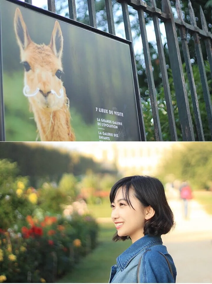 【Travel】Hidden Gems in Paris