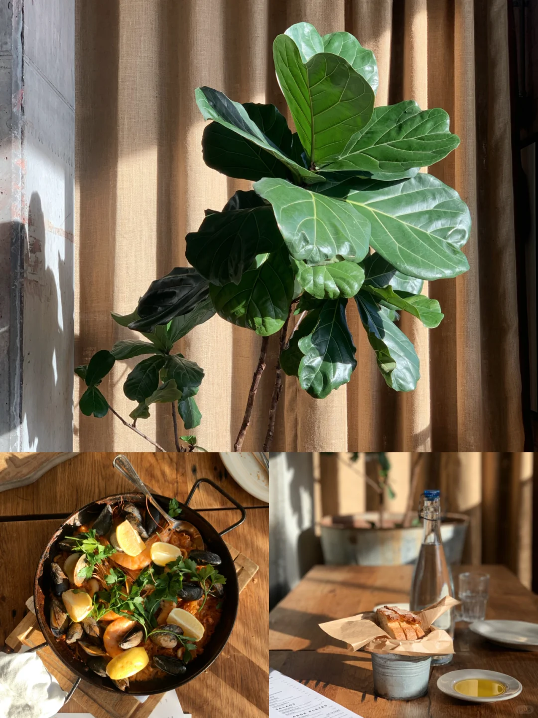 Exploring Near Duke University in North Carolina: Barcelona Wine Bar