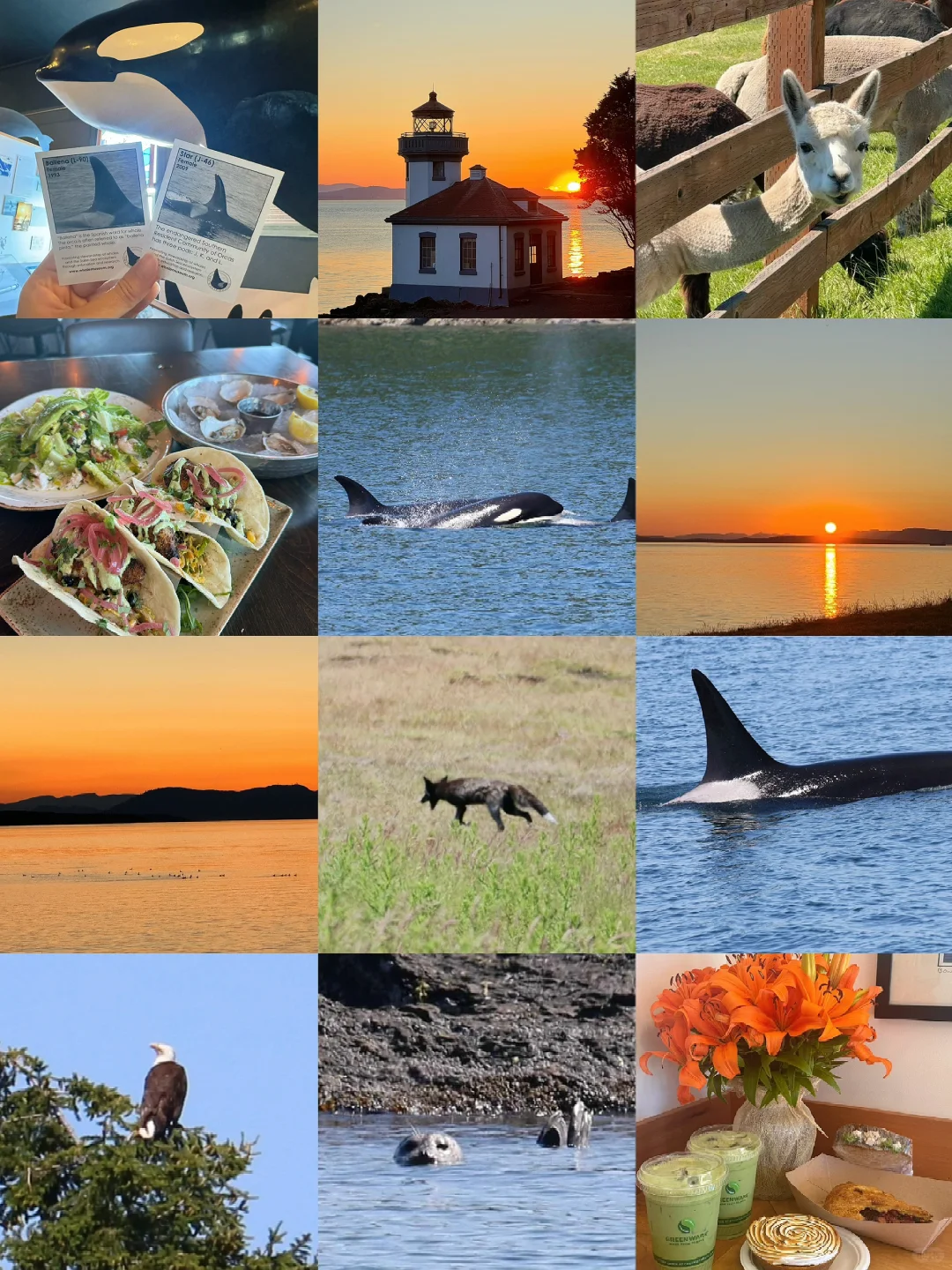 Seattle's Friday Harbor Guide | The Sunset is Truly Enchanting!