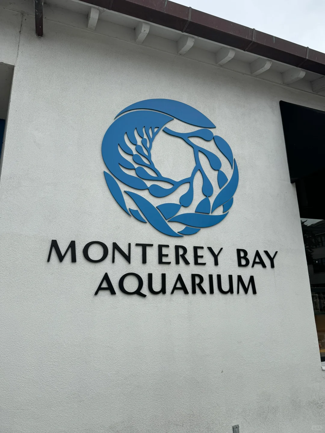 🇺🇸 Monterey Bay Aquarium 🐙🐟
