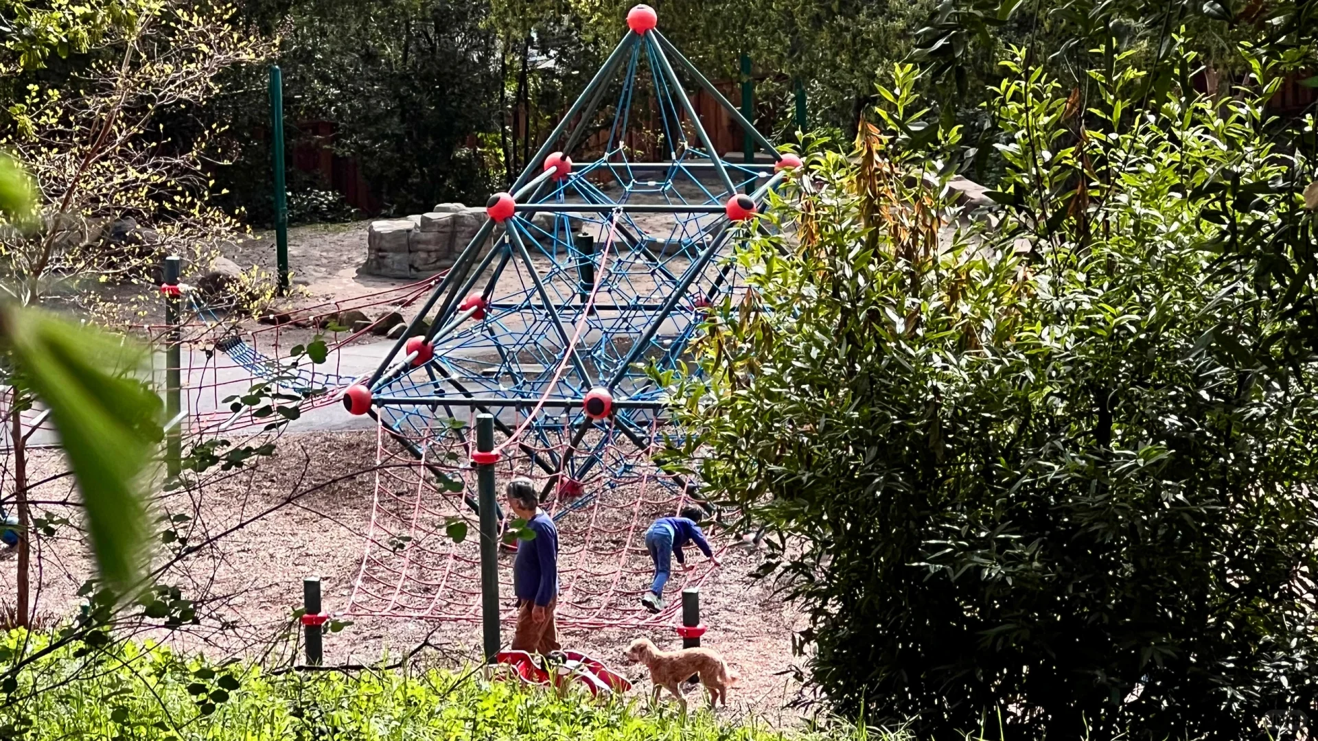 Springtime Fun at Wildwood Park