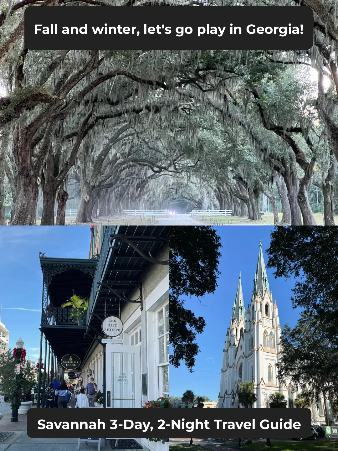 Georgia | A 3-Day, 2-Night Travel Guide for Savannah in Autumn and Winter
