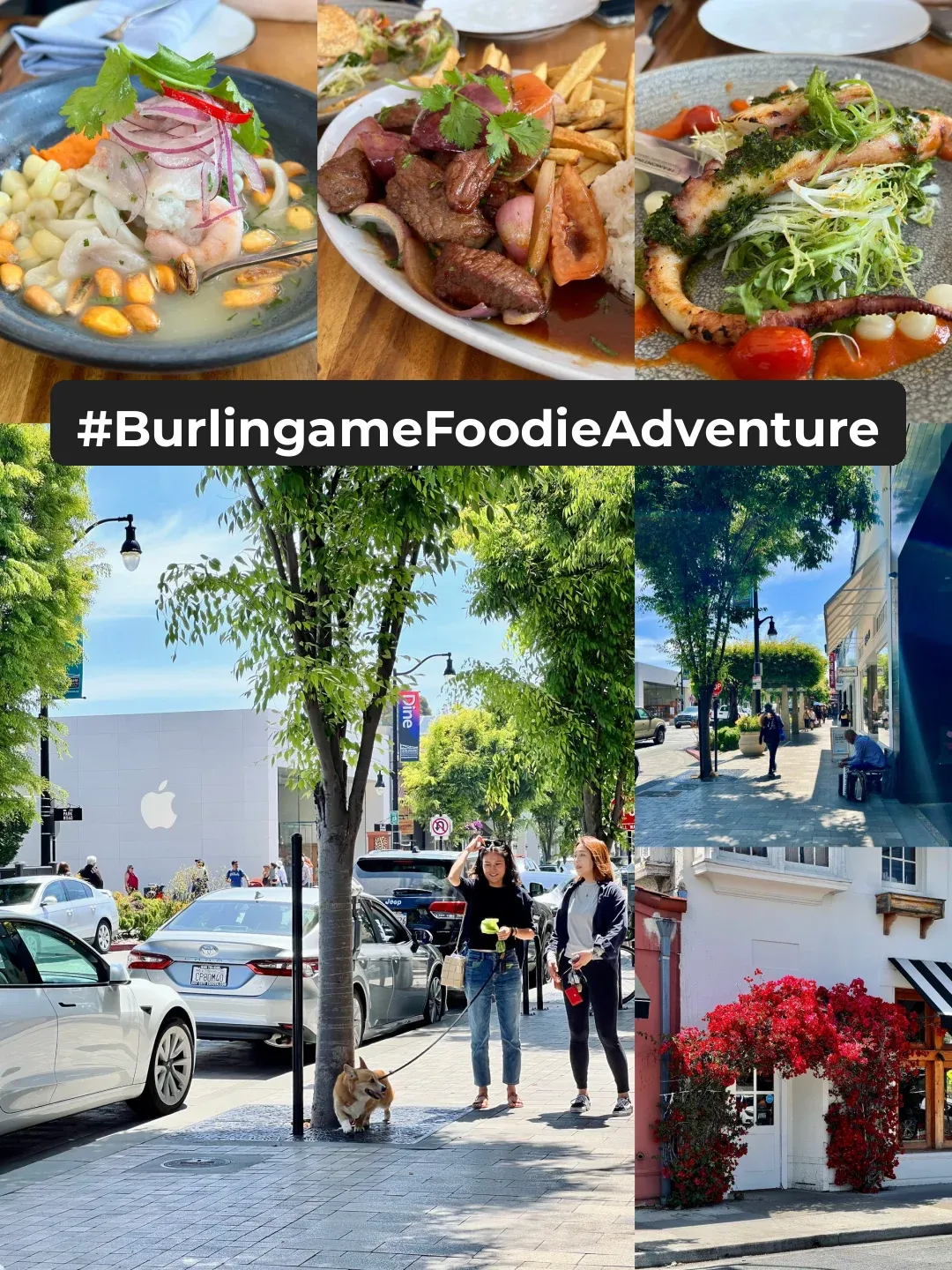 Bay Area | Top Spot for Hanging Out 🤩 Burlingame