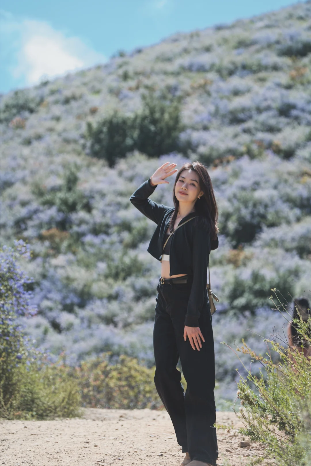 San Diego Flower Fields｜My Most Successful Bandwagon Moment on Xiaohongshu