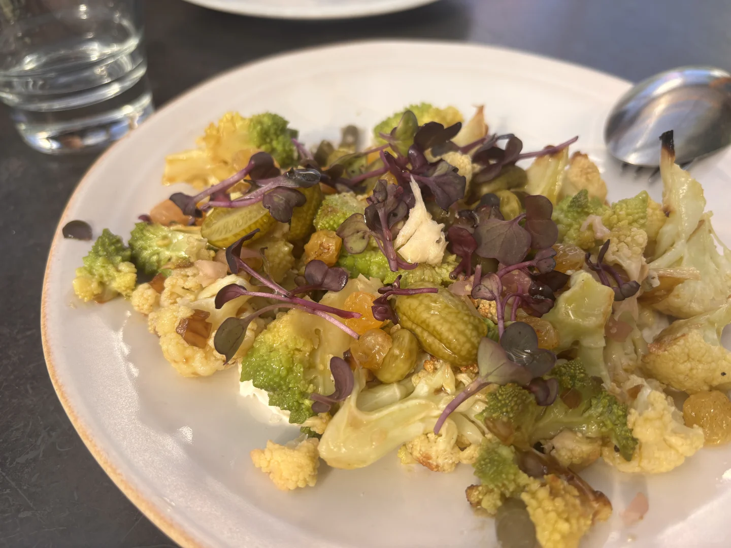 🉑 Piccino: A Must-Try Italian Restaurant in San Francisco