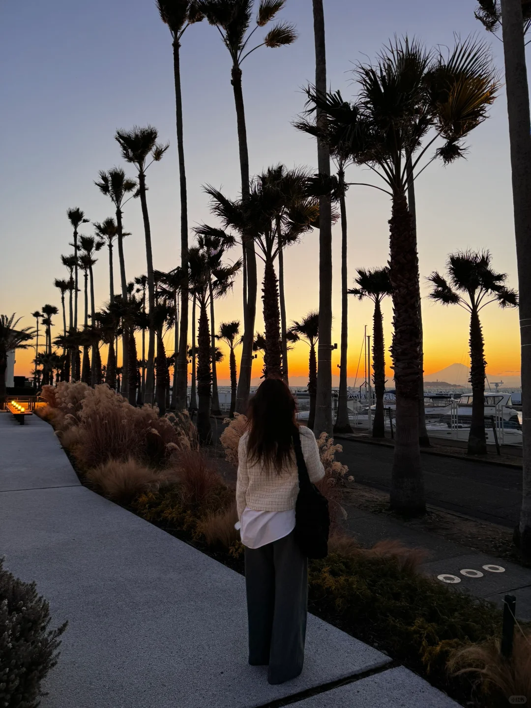 🇯🇵 Feels Like California | Zushi, Japan is Absolutely Stunning!! ✨