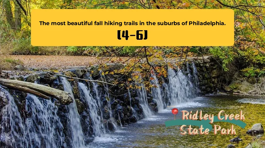 The Most Beautiful Fall Hiking Trails in Philadelphia's Suburbs [4-6]