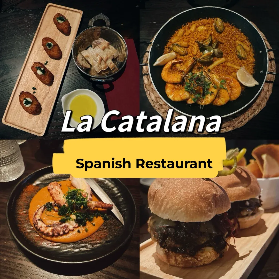 First Time Gaining a New Perspective on the Bay Area's Pinnacle