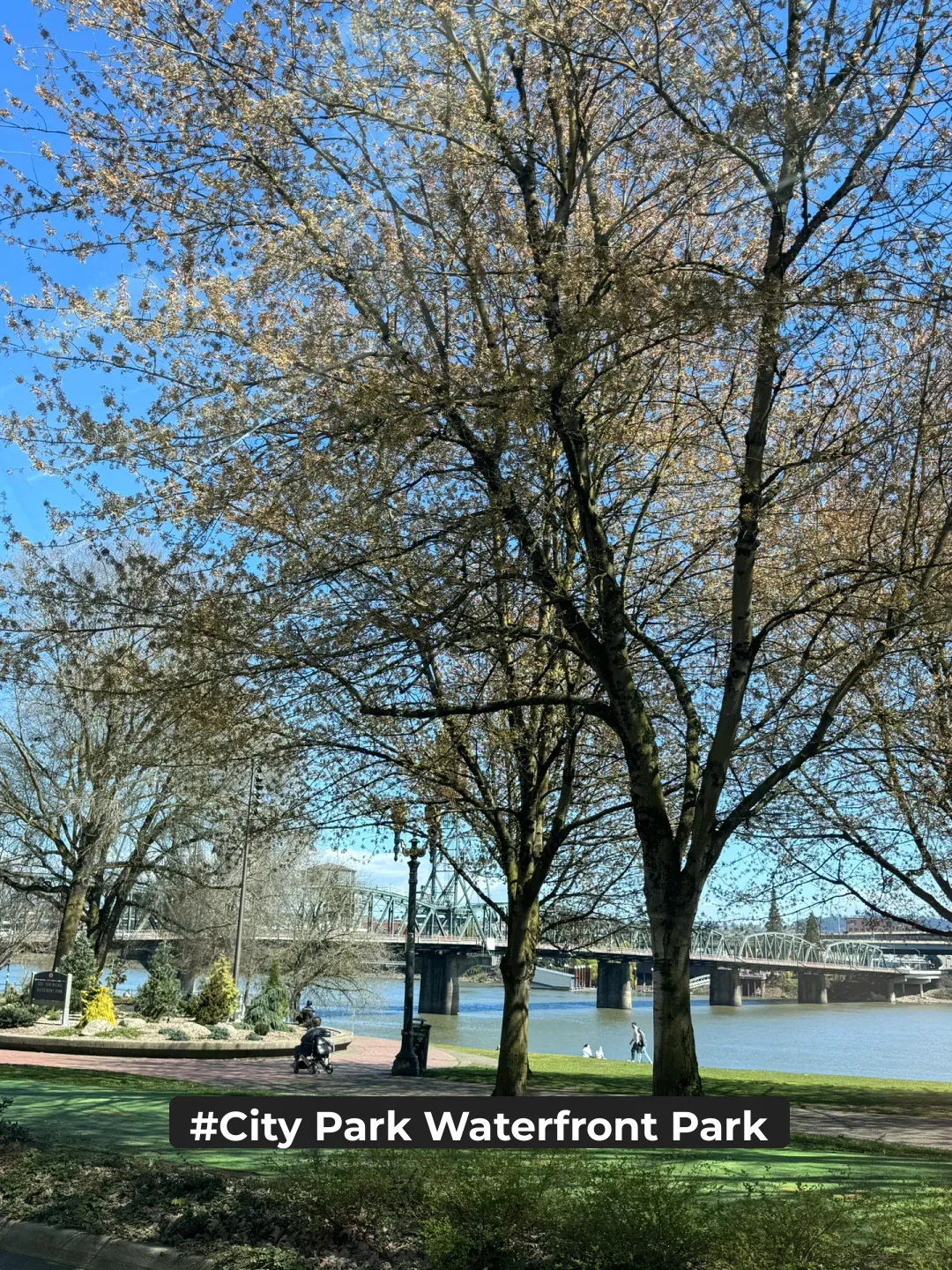 "Portland Travel Snapshots 🧩 Urban Trails and Majestic Snow-Capped Peaks"