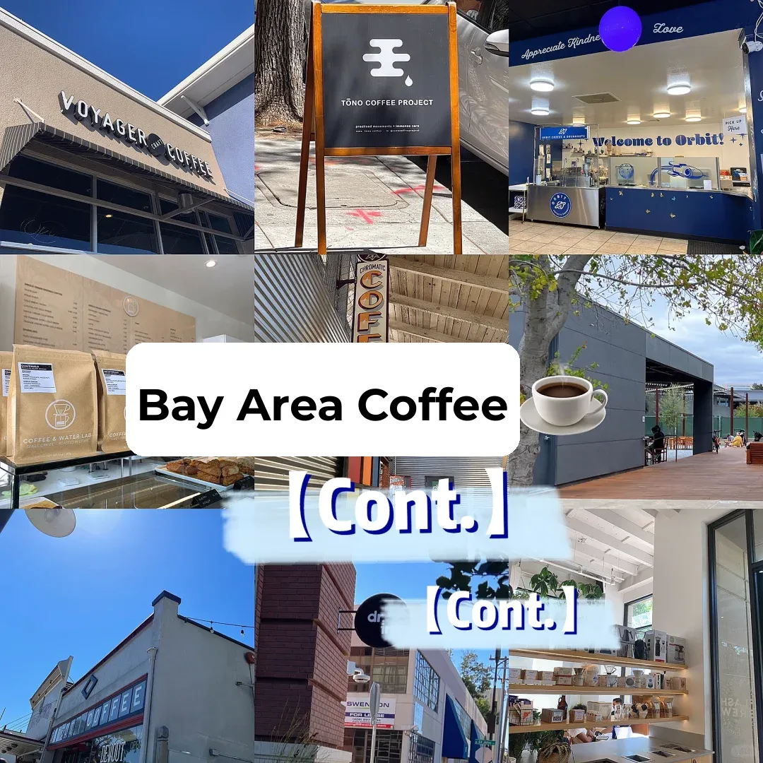Bay Area | Coffee Shop Crawl Part 3⃣️