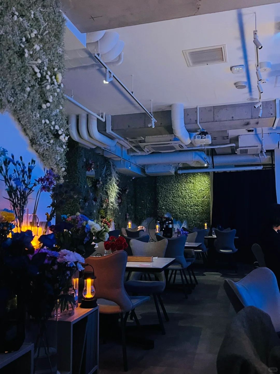 Great Date Spots in Shinjuku: Hologram Projections & Floral Cafes 🤩