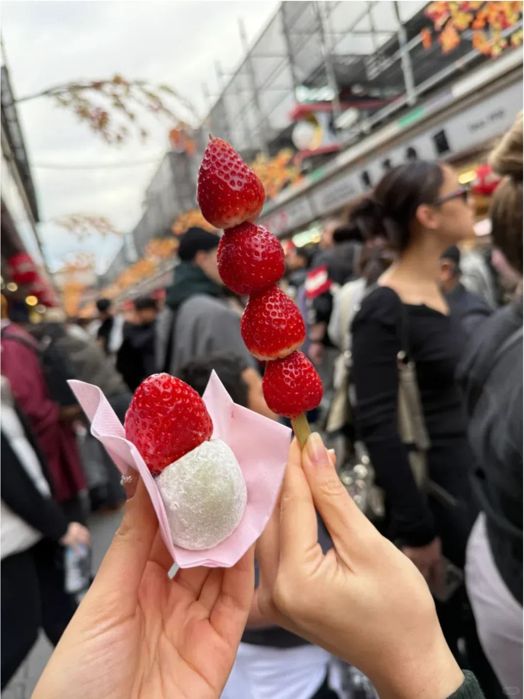 ✈️🇯🇵 6 Days 5 Nights Tokyo Free & Easy Trip for Only RM5000!