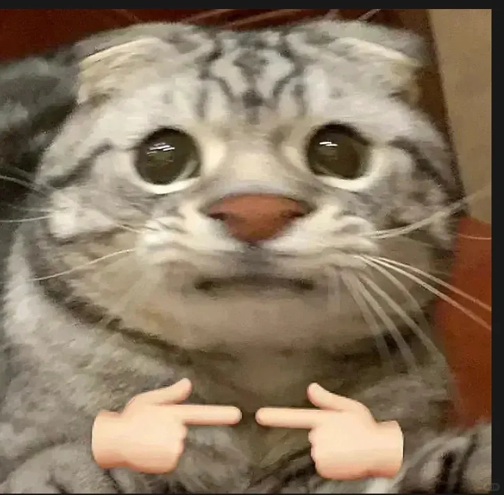 Q&A! Osaka! Spot the Shop!