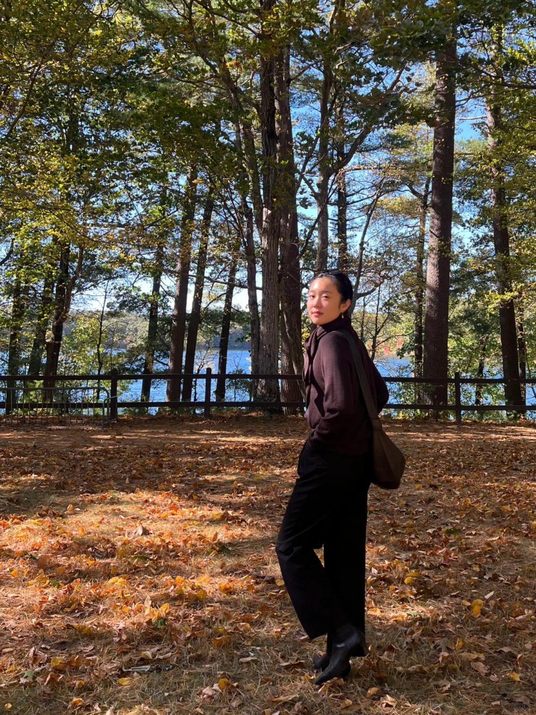 Boston｜Lemaire × Bauhaus in Autumn