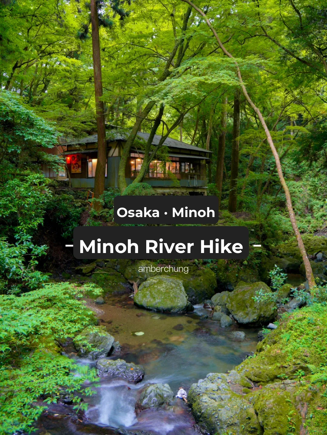 Osaka Hike | A Refreshing Escape to Minoo Gorge 🌿
