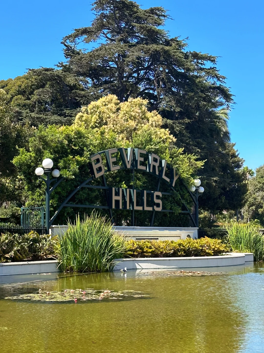 🇺🇸｜LA's Beverly Hills 🌆 Who Wouldn't Want to Check It Out?