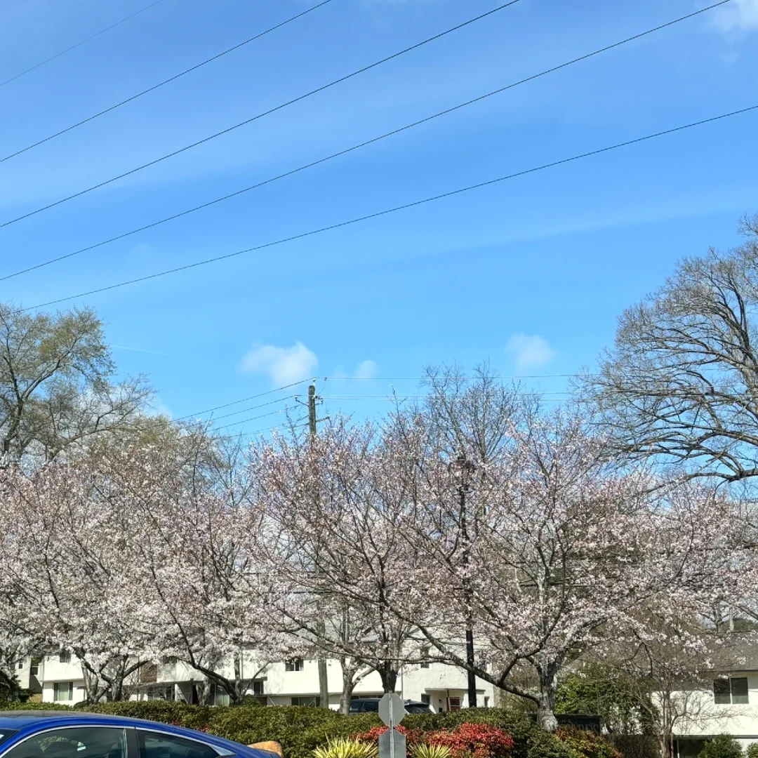 Atlanta | Restaurants in Doraville