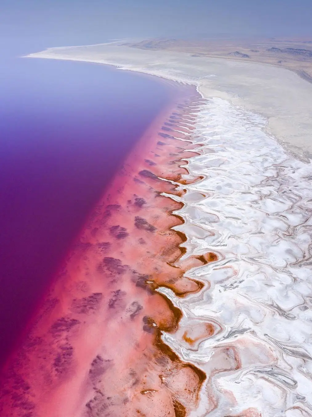 Must-Visit Spots in Salt Lake City Before You Leave! Don’t Miss Out!