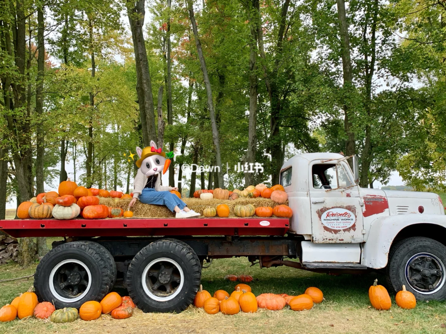 Ohio Pumpkin Patch | Recommended Pumpkin Farms in Columbus