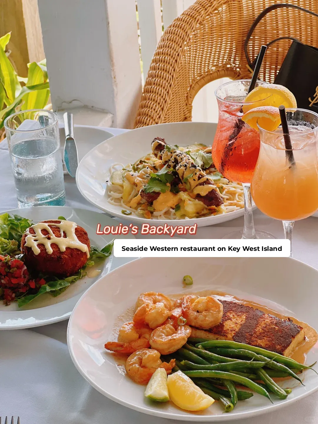 Miami Eats ✨ | Miami is So Tasty! Verified Influencer Picks