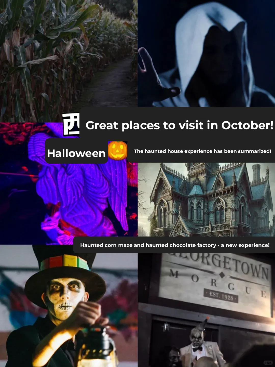 Seattle Hotspots | All the Halloween 🎃 Haunted Houses Compiled!