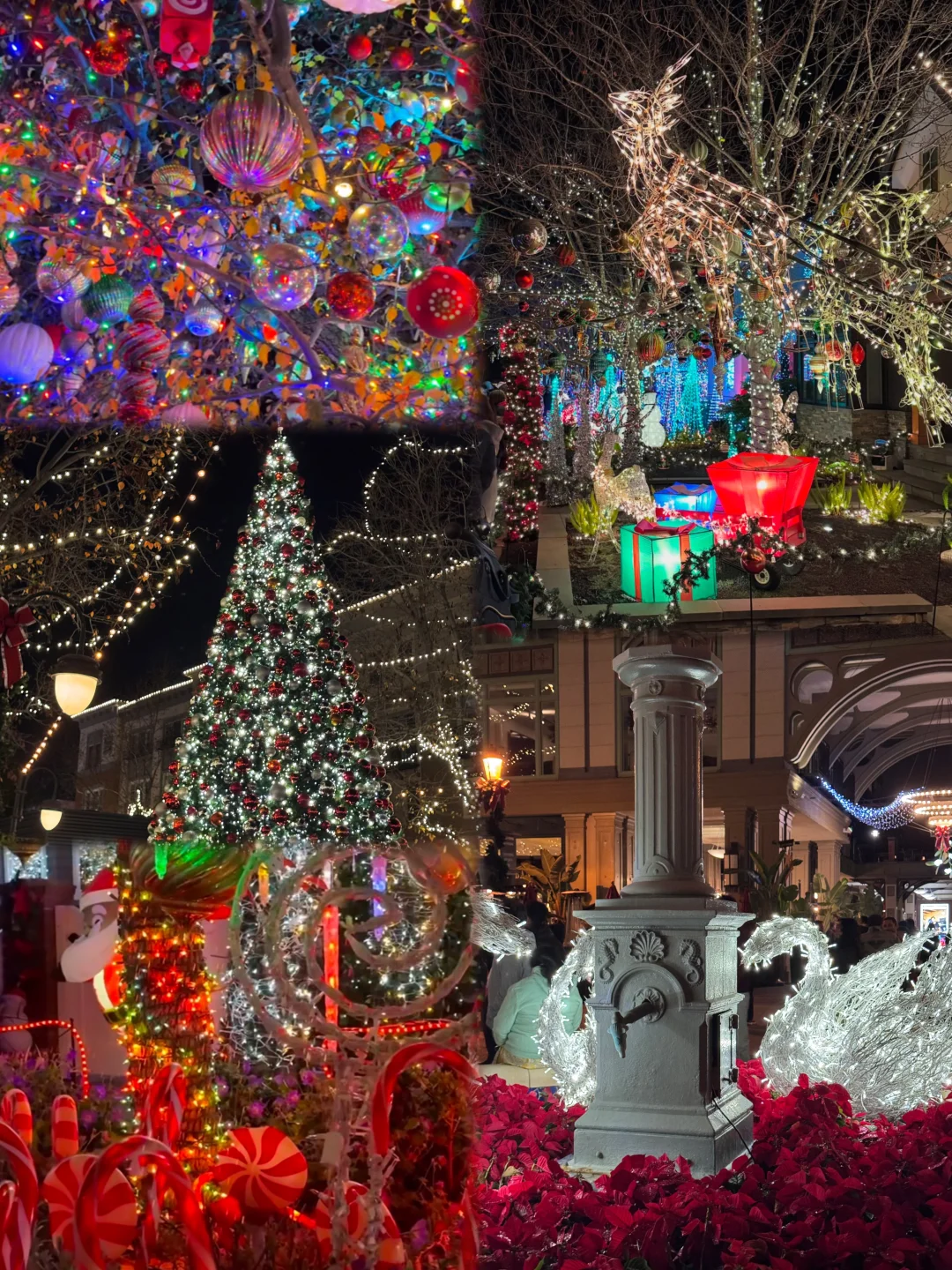 Must-Visit Christmas Route in the Bay Area! Amazing Free Light Show + Food & Shopping Festivities